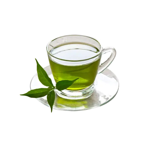 Bulk Green Tea Leaves