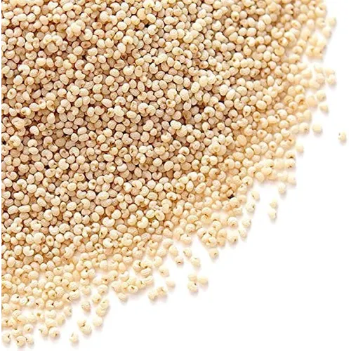 Poppy Seeds export quality supplier
