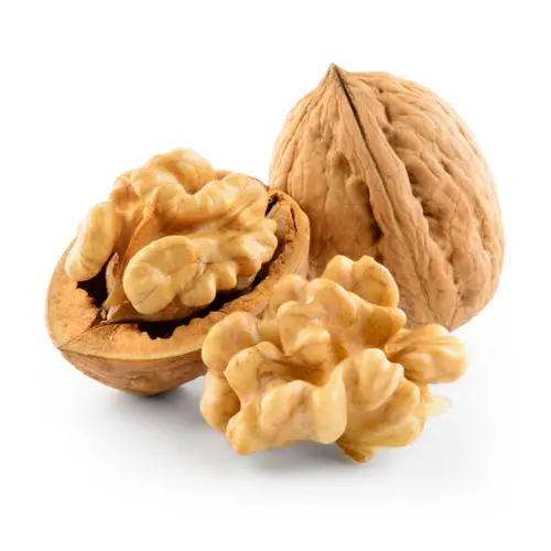 Walnut Halves Export